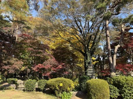 晩秋の大宮公園日本庭園。 大宮公園,埼玉県さいたま市,晩秋の写真素材