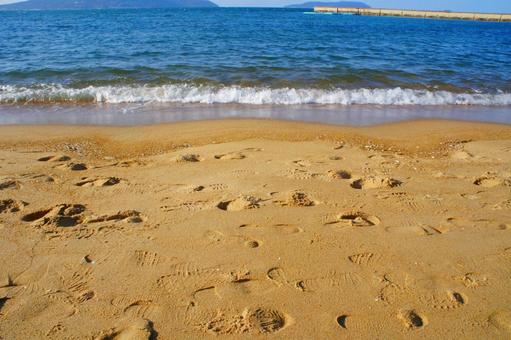 福岡県、シーサイドももち海浜公園6 風景,日本,九州の写真素材
