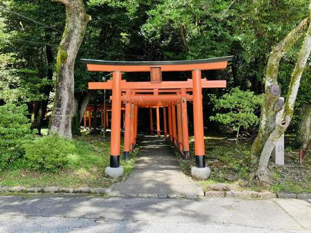 Photo, kashihara shrine, kashihara city, nara prefecture, a shrine, 