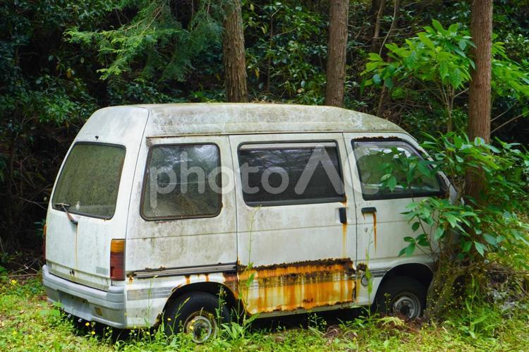 森の中に放置された廃車 廃車,自動車,放置の写真素材