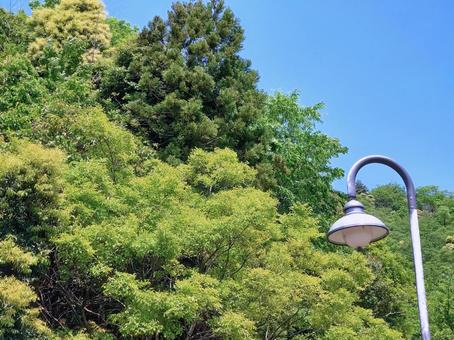 新緑と青空 新緑と青空 新緑,山,自然の写真素材