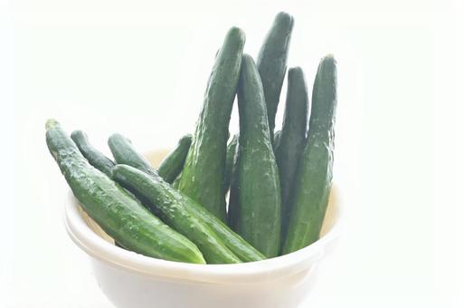 きゅうり盛り沢山の写真