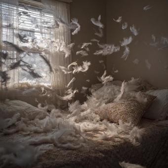 枕から舞い上がる羽根の幻想的な光景 枕から舞い上がる羽根の幻想的な光景の写真