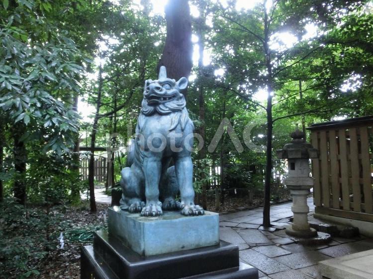 駒木諏訪神社の風景-47 駒木諏訪神社,千葉県流山市,諏訪之宮の写真素材