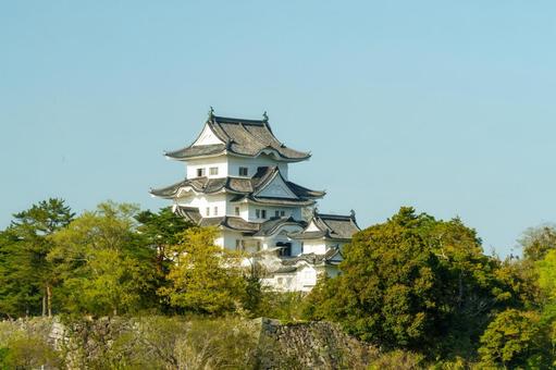 伊賀上野城 伊賀上野城 伊賀上野城,上野公園,晴れの写真素材
