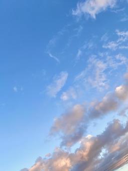 ピンク色の雲のある夕空 ピンク色の雲のある夕空 空,夕暮れ,夕焼けの写真素材