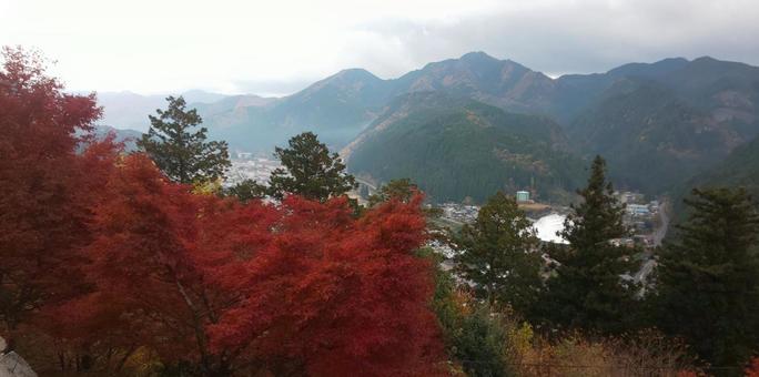 郡上八幡城から見る紅葉 郡上八幡城から見る紅葉の写真