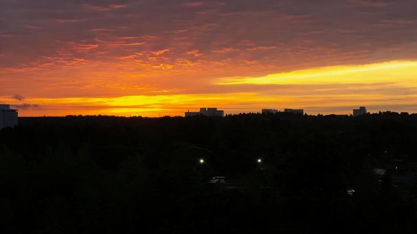森とビルに沈む夕焼けの太陽 森とビルに沈む夕焼けの太陽 夕日,夕焼け,太陽の写真素材