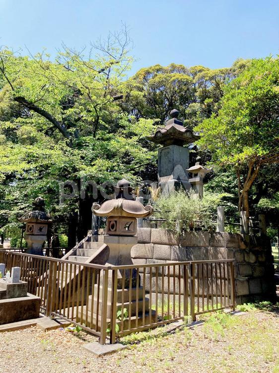 東京風景・上野公園 上野公園,上野恩賜公園,彰義隊墓所の写真素材