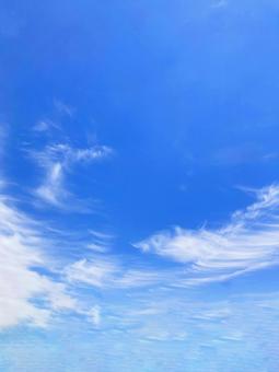 冬空 冬空の写真
