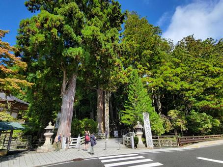 高野山 奥の院  高野山 奥の院 の写真
