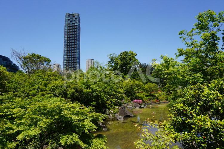 東京　港区赤坂　檜町公園とタワーマンション 東京ミッドタウン,高層ビル,ビルの写真素材