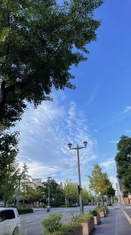 出勤中の町並み 出勤中の町並みの写真
