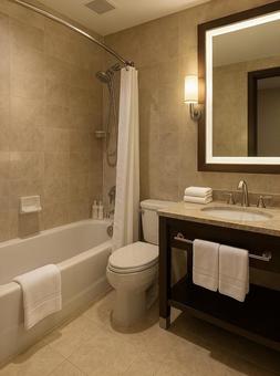 高級ホテルのラグジュアリーユニットバスの写真