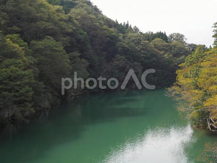 緑に囲まれた緑色の川の風景　長野 川,緑の水,森の写真素材