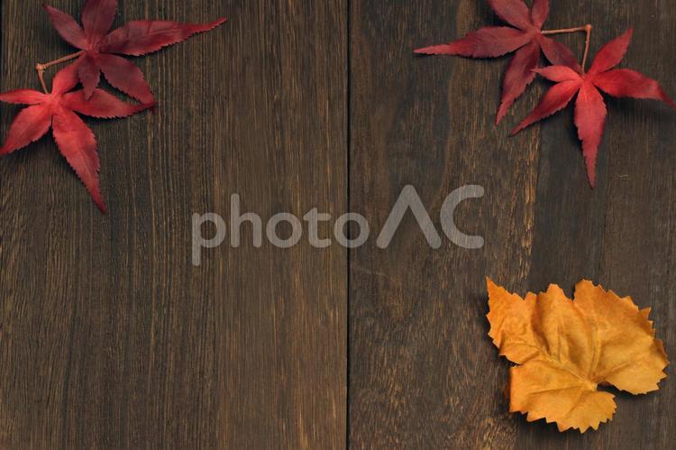 秋の落ち葉と木目背景 秋,落ち葉,紅葉の写真素材