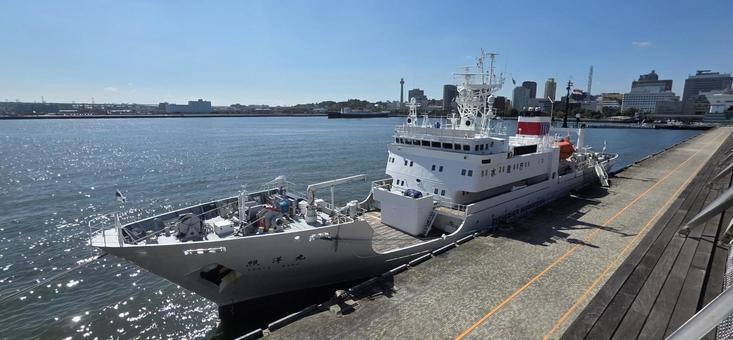 乗り物 漁業取締船 照洋丸 乗り物 漁業取締船 照洋丸 乗り物,船,漁業取締船の写真素材