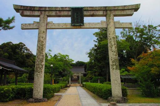 滋賀県-藤樹神社-鳥居と参道 滋賀県-藤樹神社-鳥居と参道の写真