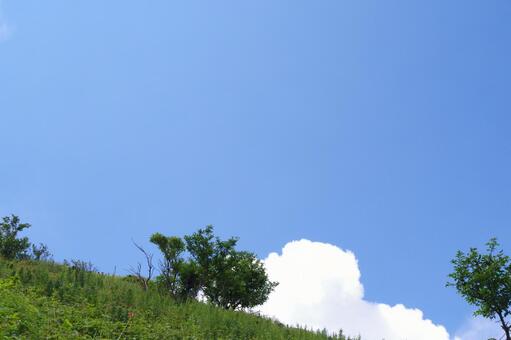 空 空の写真