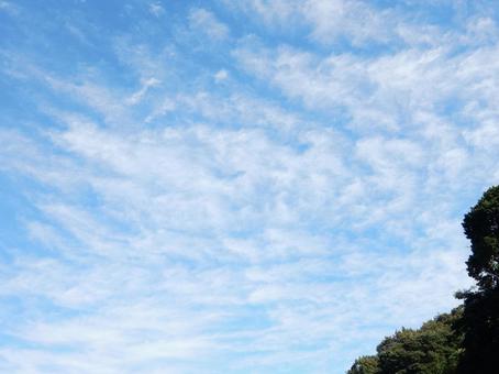 【空の写真】秋空 【空の写真】秋空の写真