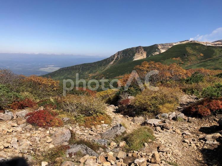 美瑛富士までの登山道中（10月ごろ） 北海道,登山道中,登山道の写真素材