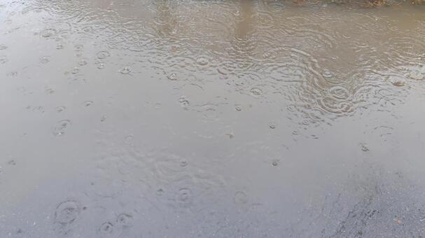 水溜り 雨,大雨,悪天候の写真素材