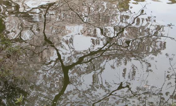 水面の反射風景-3 水面の反射風景-3の写真