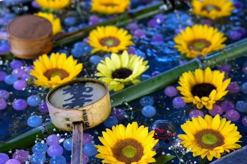 夏の柳谷観音の花手水 夏の柳谷観音の花手水の写真