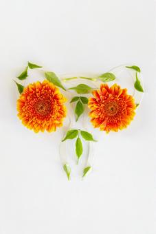 花と葉を並べて作った子宮 生理,月経,子宮の写真素材