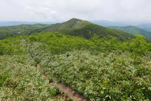 金剛堂山 金剛堂山の写真
