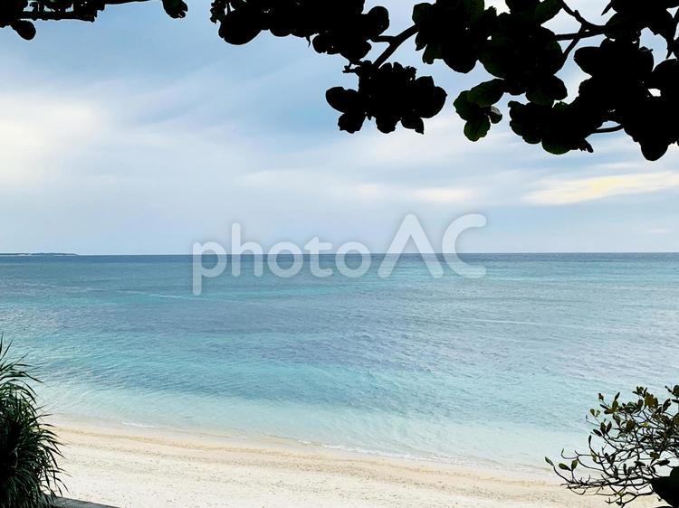 木陰から臨む海 海,ビーチ,風景の写真素材