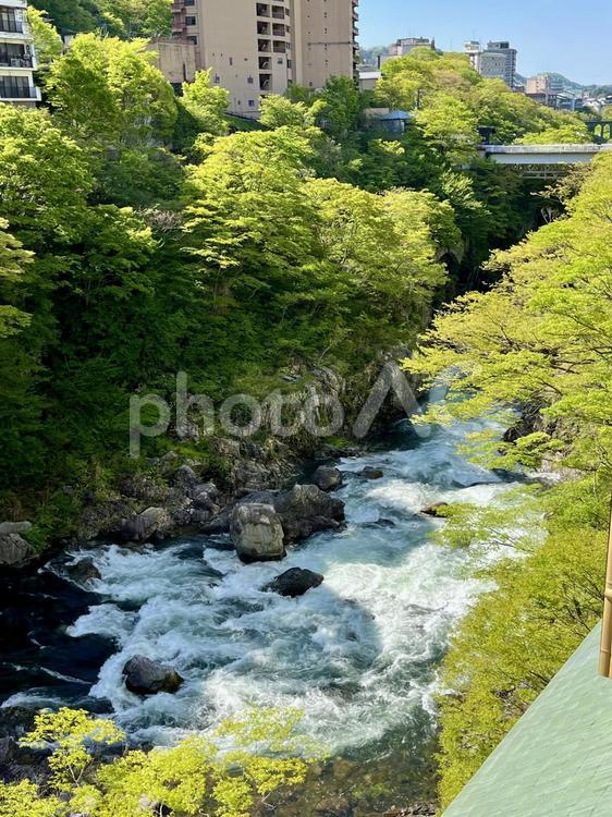 鬼怒川の渓谷の景色 新緑,鬼怒川,流れの写真素材