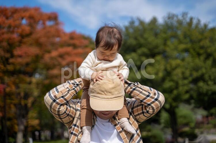 秋の公園で遊ぶパパと赤ちゃん 赤ちゃん,イクメン,肩車の写真素材