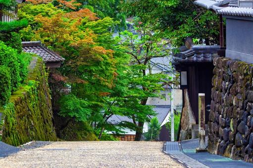和の坂道、秋の訪れを感じさせる風景 和の坂道、秋の訪れを感じさせる風景 夏,秋,紅葉の写真素材