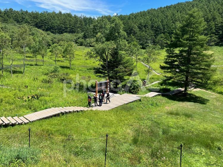 入笠山の入笠湿原風景 富士見,入笠山,湿原の写真素材