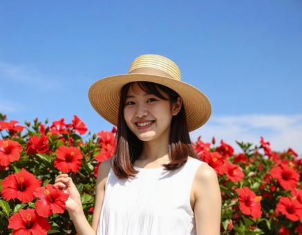 ハイビスカスと、真夏の彼女 ハイビスカスと、真夏の彼女の写真