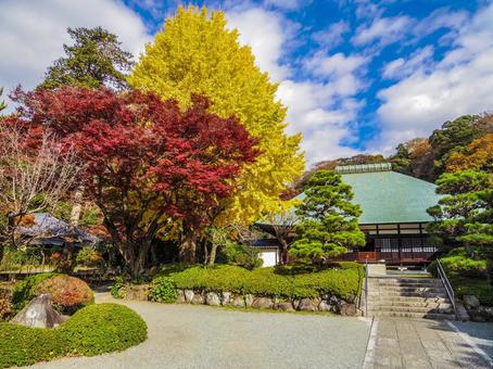 【神奈川県】鎌倉市・浄妙寺 【神奈川県】鎌倉市・浄妙寺 浄妙寺,鎌倉五山,秋の写真素材