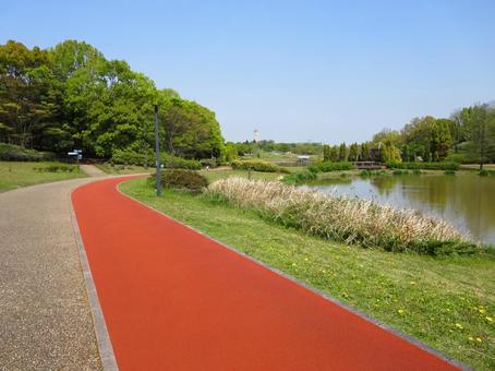 あいち健康の森公園 あいち健康の森公園 あいち健康の森公園,公園,池の写真素材