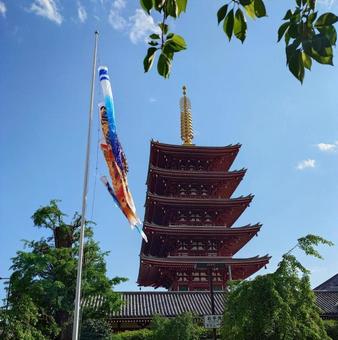 五重塔ー浅草寺 五重塔ー浅草寺 五重塔,浅草寺,仏塔の写真素材