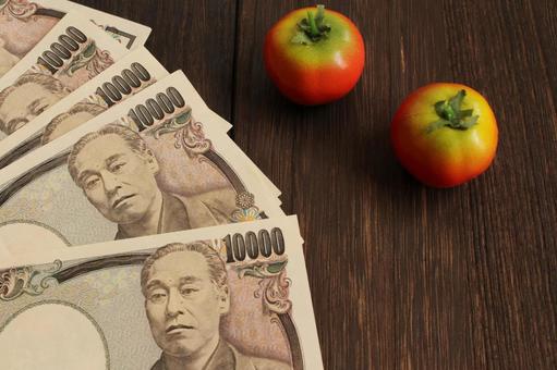 一万円札とトマトの組み合わせ 一万円札とトマトの組み合わせ 一万円札,日本円,紙幣の写真素材