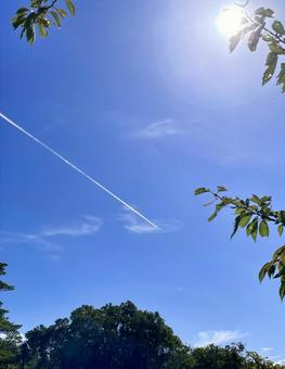 眩しさの中の飛行機雲 眩しさの中の飛行機雲 青空,空,雲の写真素材