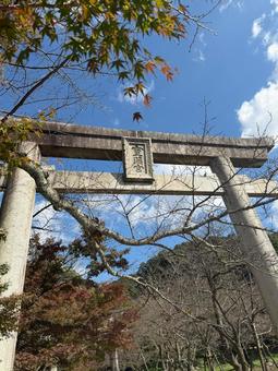 宝満宮竈門神社(福岡　太宰府市) 宝満宮竈門神社,神社,鳥居の写真素材