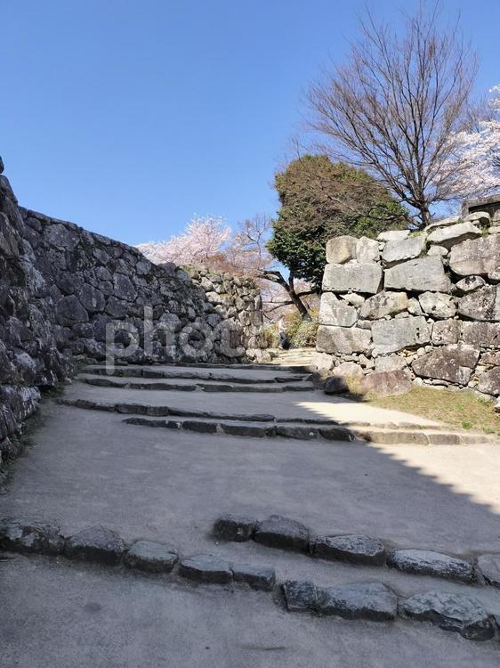 彦根城へつづく石段の階段 滋賀県彦根市,彦根市,彦根城の写真素材