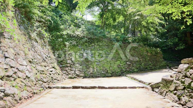 和歌山城、石垣と小道 和歌山城,石垣,小道の写真素材