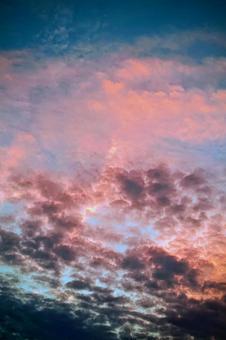 夕空④ 夕空④の写真