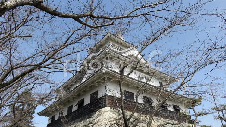 長浜城　模擬天守 長浜城,豊臣秀吉,羽柴秀吉の写真素材