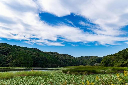 静岡県磐田市の鶴ケ池 10月秋の池の景色 静岡県磐田市の鶴ケ池 10月秋の池の景色 日本,静岡県,磐田市の写真素材