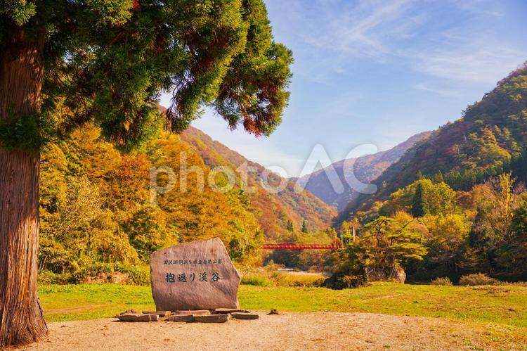 紅葉の秋、抱返り渓谷の朝もや 旅行,景色,紅葉の名所の写真素材
