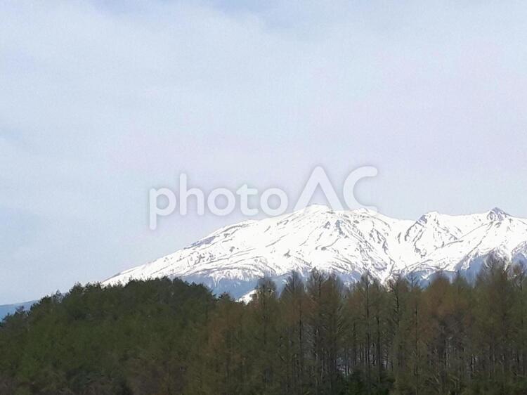 御嶽山の雪景色・信州から撮影 雪,山,風景の写真素材