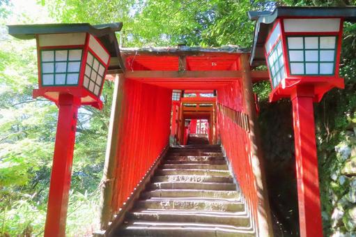 【島根県】太鼓谷稲荷神社 神社,稲荷神社,津和野の写真素材